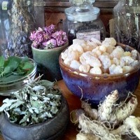 Botanicals and Witching Herbs